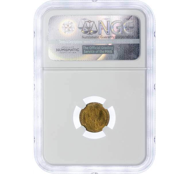 Монета 1 копейка 1951 года — в слабе NGC (MS65) (Артикул: M1-49250) — Фото №2