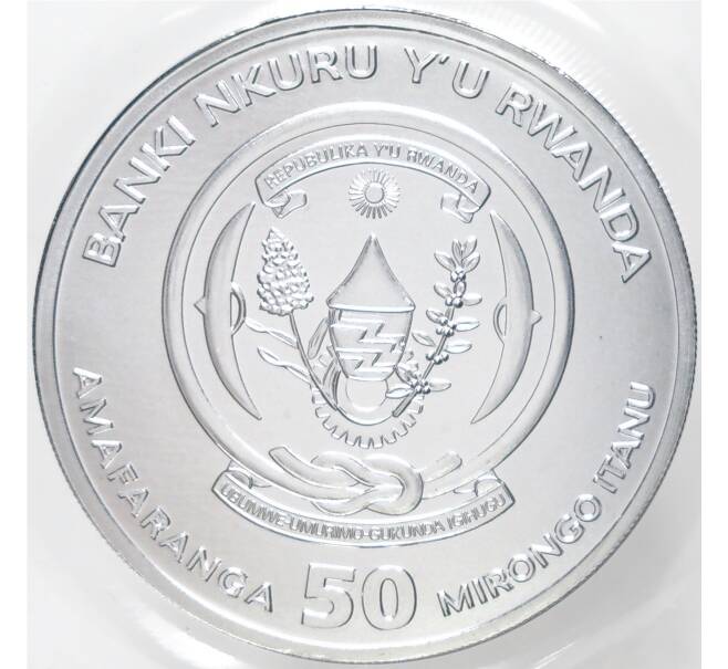 Монета 50 франков 2023 года Руанда «Китайский гороскоп — Год кролика» (Артикул M2-59755)