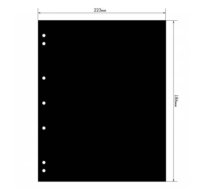 Лист-разделитель формат «Numis» Черный LEUCHTTURM 357701 (Артикул L1-19156)