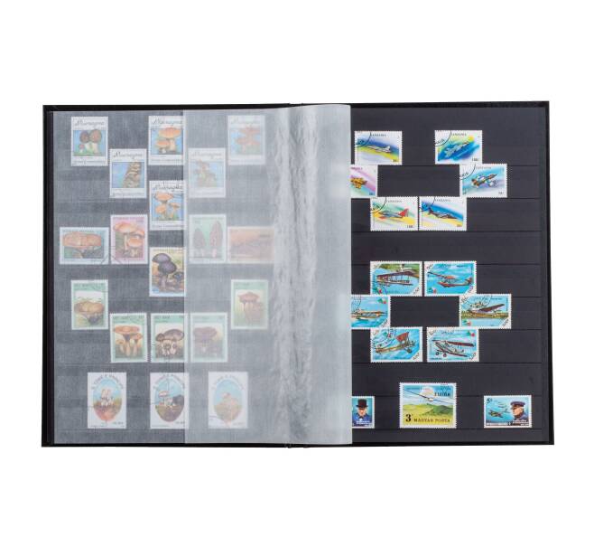 Альбом для марок на 32 страницы Stockbook BASIC S32 Черный LEUCHTTURM 332685 (Артикул L1-22249)