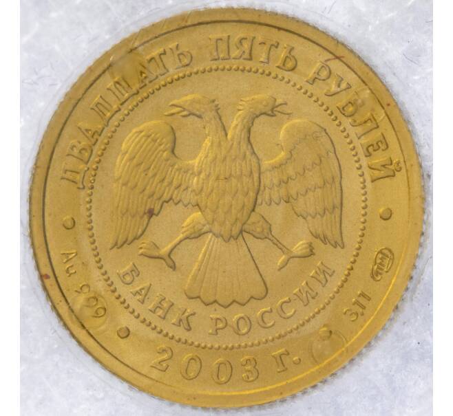 Монета 25 рублей 2003 года СПМД «Знаки зодиака — Водолей» (Артикул M1-49465)