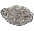 Монета «Чешуйка» (копейка) Петр I Старый денежный двор (Москва) (Артикул M1-49363)