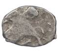 Монета «Чешуйка» (копейка) Петр I Старый денежный двор (Москва) (Артикул M1-49382)