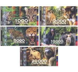 Набор банкнот Колумбия — Дикие животные — Фото №1