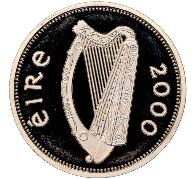 Монета 1 фунт 2000 года Ирландия «Миллениум» (Артикул M2-59964)