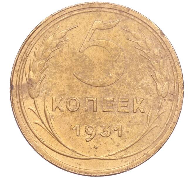 Монета 5 копеек 1931 года (Артикул K11-86668) — Фото №1