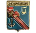 Значок «Город-Герой Новороссийск» (Артикул K11-86785)