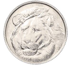 1 куруш 2022 годаа Турция «Дикие кошки — Лев» — Фото №1