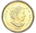 Монета 1 доллар 2016 года Канада (Артикул M2-60576)