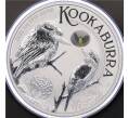 Монета 1 доллар 2023 года Австралия «Австралийская кукабарра» (Цветное покрытие) (Артикул M2-60584)