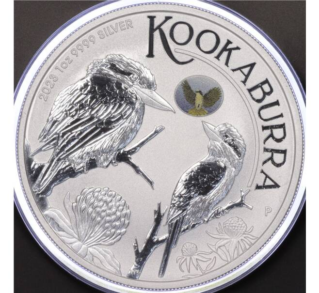 Монета 1 доллар 2023 года Австралия «Австралийская кукабарра» (Цветное покрытие) (Артикул M2-60584)