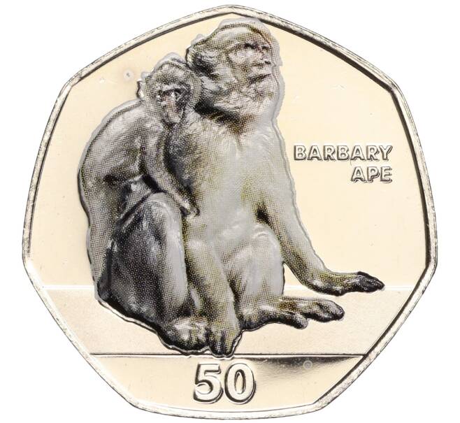 Монета 50 пенсов 2018 года Гибралтар «Приматы — Магот» (Цветное покрытие) (Артикул M2-60685)