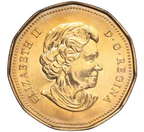 1 доллар 2004 года Канада «XXVIII летние Олимпийские Игры 2004 в Афинах» — Фото №2