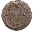 Монета 1 копейка 1795 года (Без букв) (Артикул: M1-51019) — Фото №1