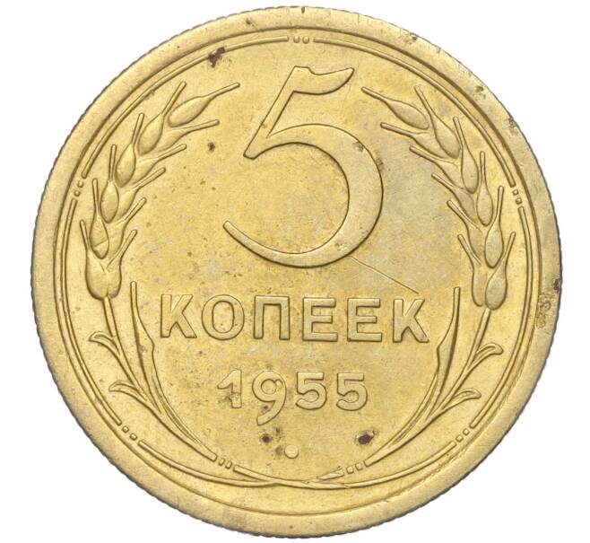 Монета 5 копеек 1955 года (Артикул K11-88850) — Фото №1