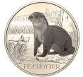 Монета 3 евро 2019 года Австрия «Животные со всего мира — Выдра» (Артикул M2-62062)