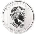 Монета 5 долларов 2012 года Канада «Природа Канады — Пума» (Артикул M2-62226)