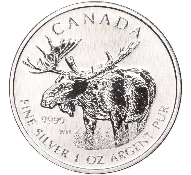 Монета 5 долларов 2012 года Канада «Природа Канады — Лось» (Артикул M2-62227)