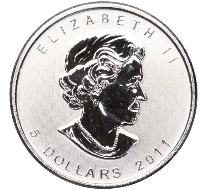 Монета 5 долларов 2011 года Канада «Природа Канады — Гризли» (Артикул M2-62228)