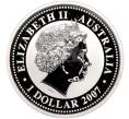 Монета 1 доллар 2007 года Австралия «Китайский гороскоп — Год тигра» (Артикул M2-62356)