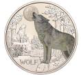 Монета 3 евро 2017 года Австрия «Животные со всего мира — Волк» (Артикул: M2-62621) — Фото №1
