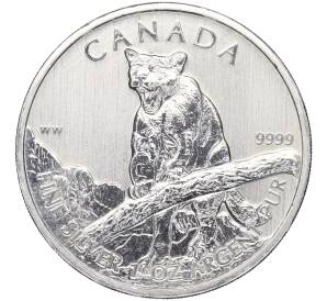 5 долларов 2012 года Канада «Природа Канады — Пума»
