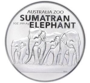 1 доллар 2022 года Австралия «Австралийский зоопарк — Суматранский слон»