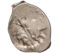 Монета Копейка ПС Иван IV «Грозный» — КГ74 (Артикул M1-52433)