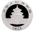 Монета 10 юаней 2023 года Китай «Панда» (Артикул M2-58351)