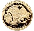 Монета 5 долларов 2009 года Ниуэ «Янтарный путь — Вроцлав» (Артикул M2-63702)