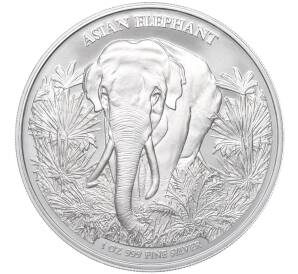 3000 риэлей 2023 года Камбоджа «Азиатский слон»