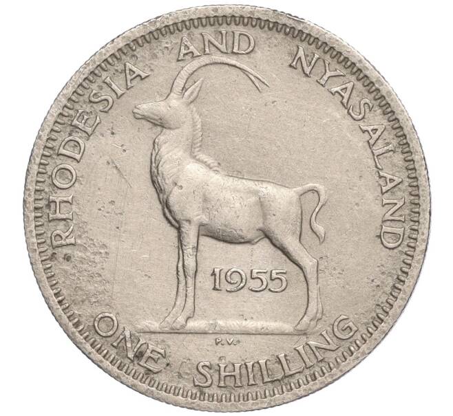 Монета 1 шиллинг 1955 года Родезия и Ньясаленд (Артикул K27-83796)