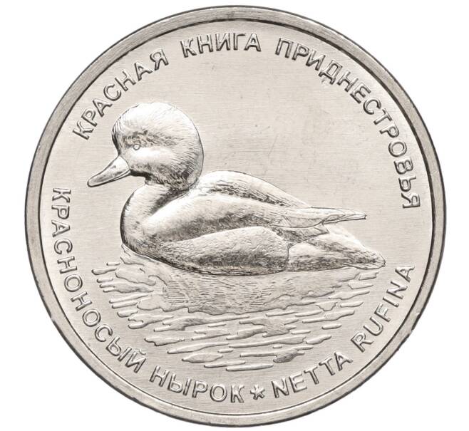 Монета 1 рубль 2023 года Приднестровье «Красная книга Приднестровья — Красноносый нырок» (Артикул M2-63994)