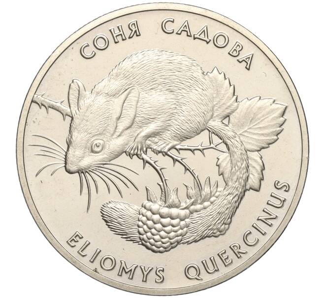 Монета 2 гривны 1999 года Украина «Флора и фауна — Соня садовая» (Артикул: M2-64320) — Фото №1