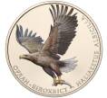 Монета 2 гривны 2019 года Украина «Флора и фауна — Орлан-белохвост» (Артикул: M2-64590) — Фото №1