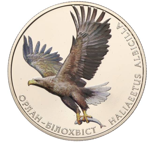Монета 2 гривны 2019 года Украина «Флора и фауна — Орлан-белохвост» (Артикул: M2-64590) — Фото №1