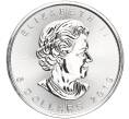 Монета 5 долларов 2019 года Канада «Кленовый лист» (Артикул K11-94565)
