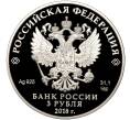 Монета 3 рубля 2018 года СПМД «Чемпионат Мира по футболу FIFA-2018 в России — Сочи» (Артикул M1-40577)