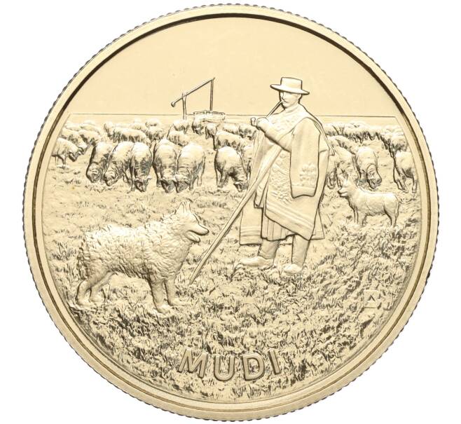 Монета 2000 форинтов 2022 года Венгрия «Венгерская порода собак — Муди» (Артикул: M2-65846) — Фото №1