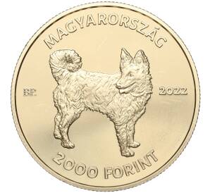 2000 форинтов 2022 года Венгрия «Венгерская порода собак — Муди» — Фото №2