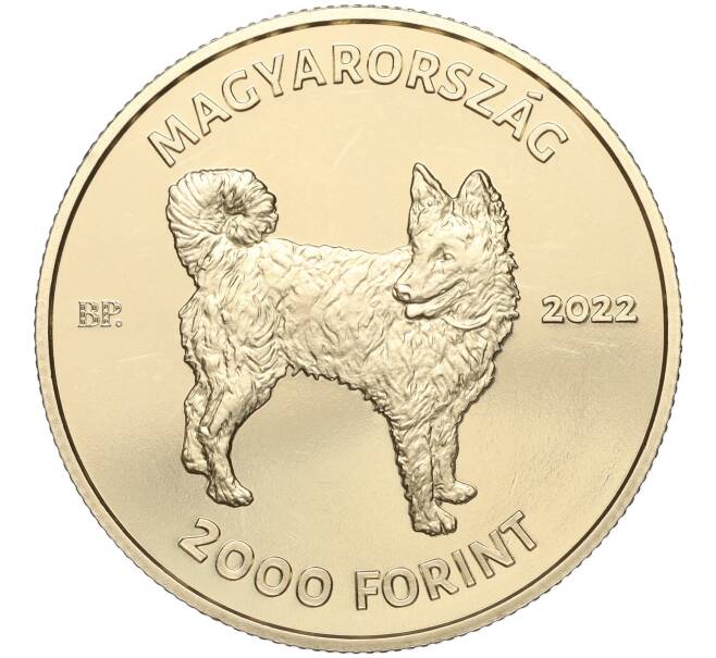 Монета 2000 форинтов 2022 года Венгрия «Венгерская порода собак — Муди» (Артикул: M2-65846) — Фото №2