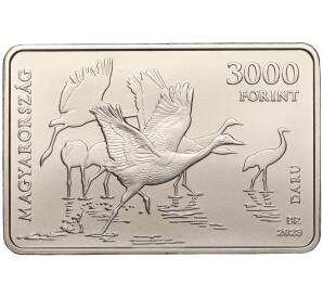 3000 форинтов 2023 года Венгрия «Национальный парк Хортобаги» — Фото №2