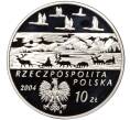 Монета 10 злотых 2004 года Польша «Польские путешественники — Александр Чекановский» (Артикул: M2-65986) — Фото №2