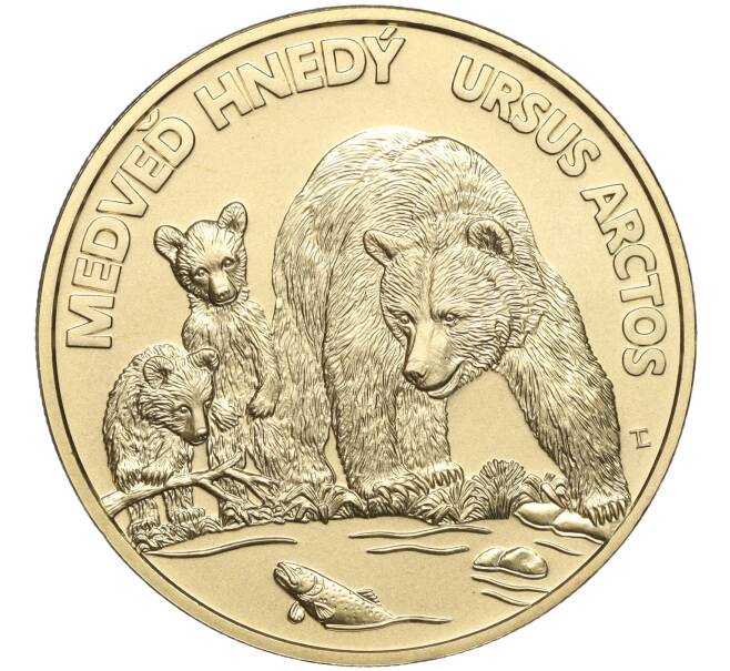 Монета 5 евро 2023 года Словакия «Бурый медведь» (Артикул M2-66421)