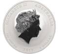 Монета 1 доллар 2017 года Австралия «Китайский гороскоп — Год петуха» (Артикул M2-66440)