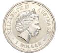 Монета 1 доллар 2007 года Австралия «Год свиньи» (Артикул K11-99092)