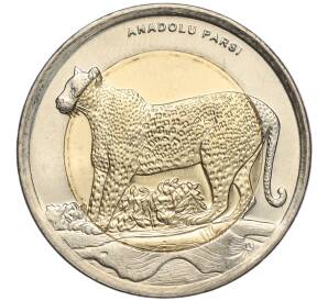 1 лира 2012 года Турция «Фауна Турции — Анатолийский леопард» — Фото №1