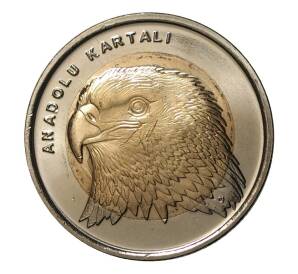 1 лира 2014 года Анатолийский орел — Фото №1