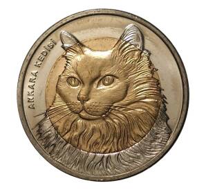 1 лира 2010 года Кошка — Фото №1