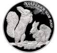 Монета 25 рублей 2023 года СПМД «Сохраним наш мир — Белка обыкновенная» (Артикул M1-55154)